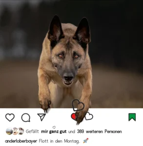 Photoshop