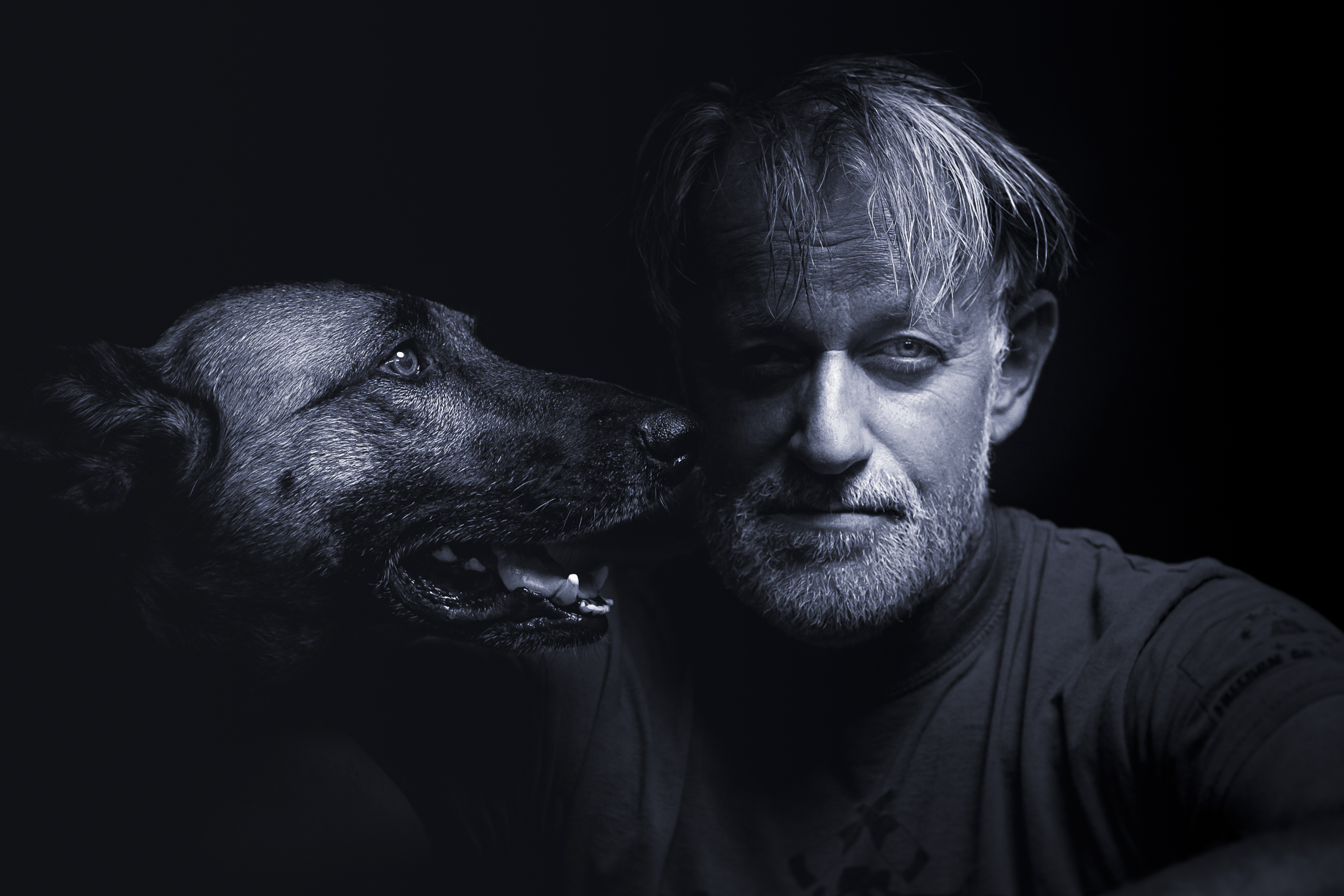 Bio Dog Pics Art Hundefotografie